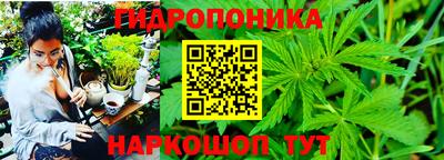 кокс Канаш