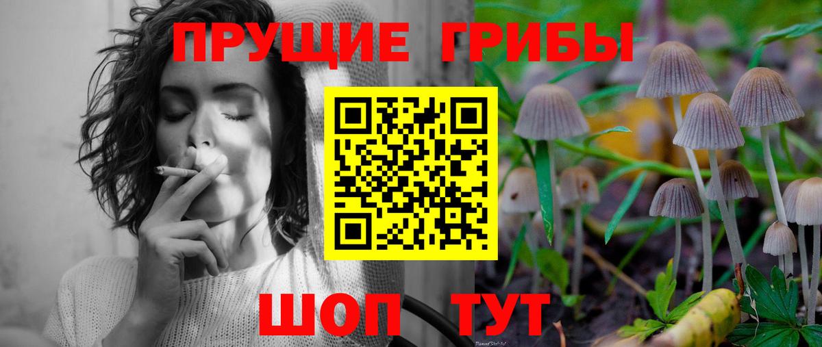 Псилоцибиновые грибы Cubensis  Псилоцибиновые грибы GOLDEN TEACHER  Кемерово  Вход с VPN 
